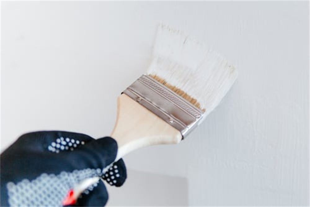 Gloved hand applying a smooth coat of white paint to an interior wall with a brush in Denver, CO
